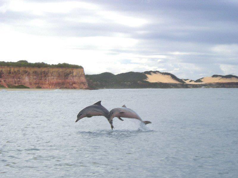 Pousada Da Pipa Praia de Pipa Exteriér fotografie
